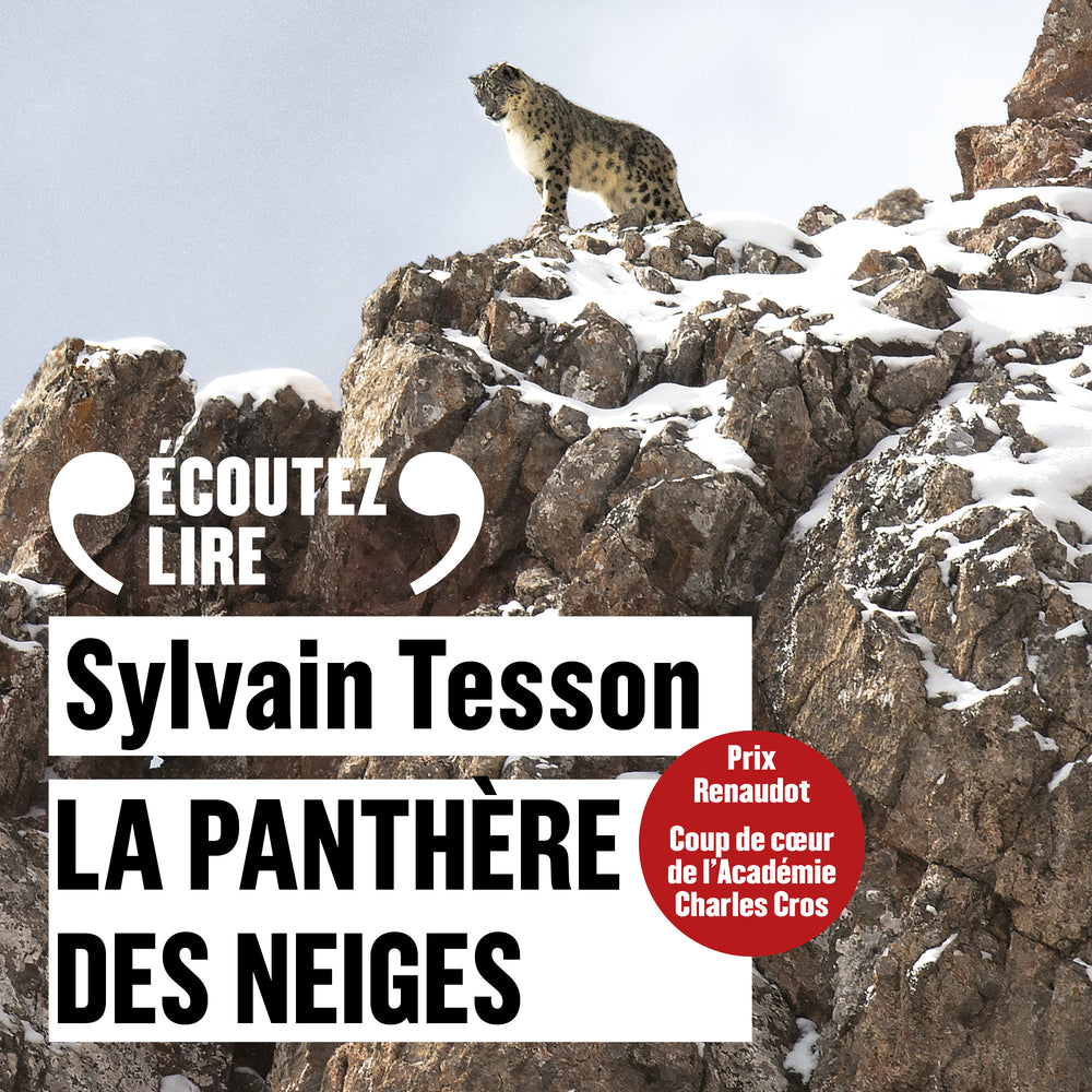 La panthère des neiges